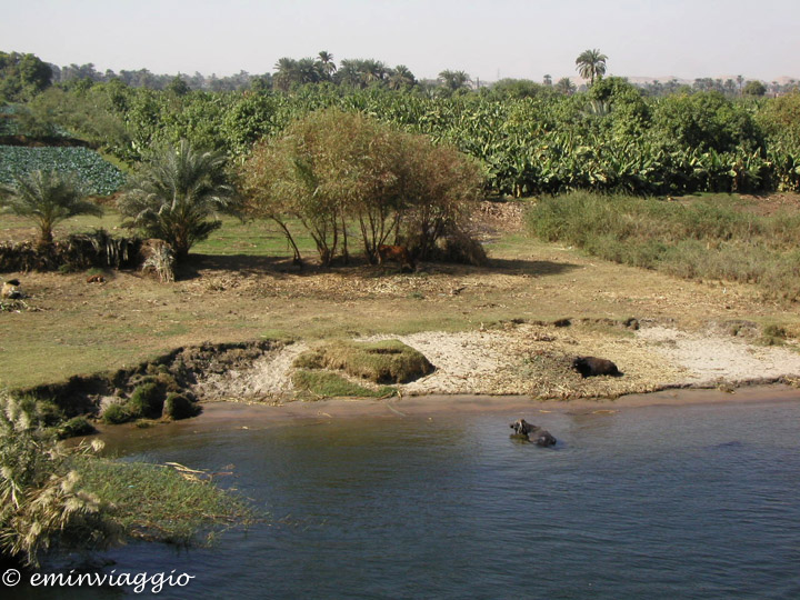 Navigando sul Nilo