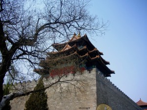 DSCN1437